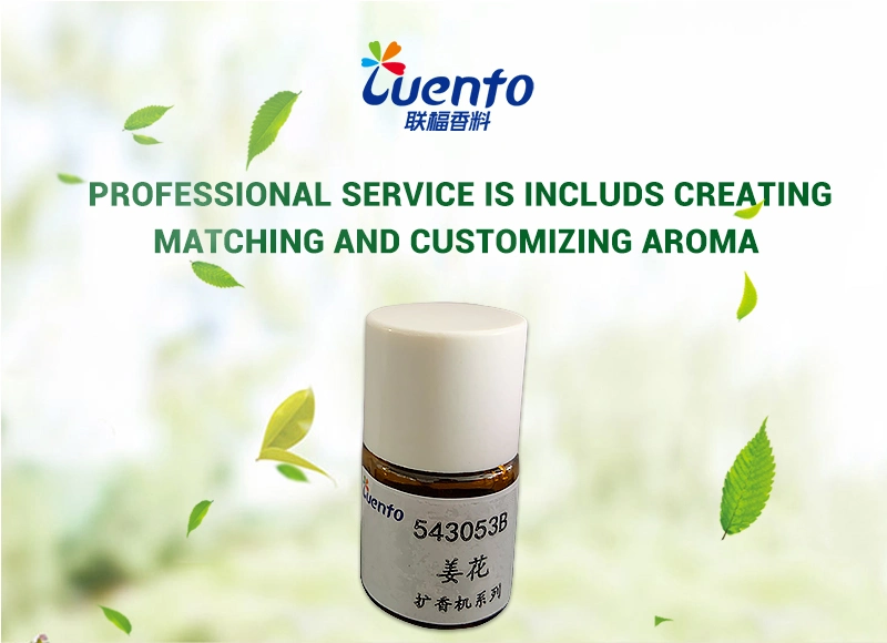 Original Essential Oil, Fragrance for All Daily-Chemical Products